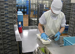 豆腐製造工程7